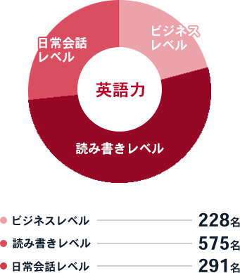 英語力_ビジネスレベル228名、読み書きレベル575名、日常会話レベル291名